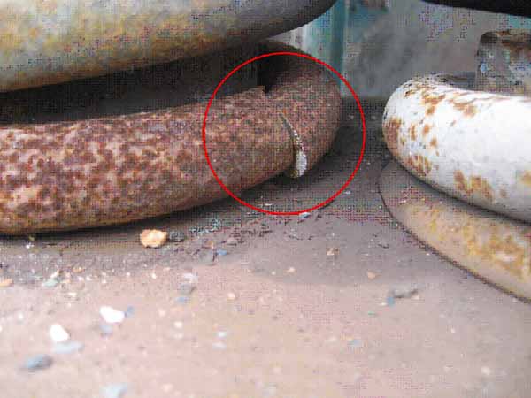 Remplacement de ressorts helicoïdaux par des Rosta sur un crible Remplacement de ressorts helicoïdaux par des Rosta sur un crible