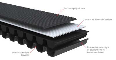 Courroie Polychain Carbon Volt Courroie Polychain Carbon Volt