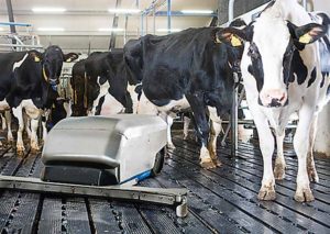 Applications des éléments élastiques Rosta en machinisme agricole DR27 sur robot nettoyeur d'étable