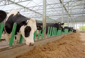 Applications des éléments élastiques Rosta en machinisme agricole Applications des éléments élastiques Rosta en machinisme agricole